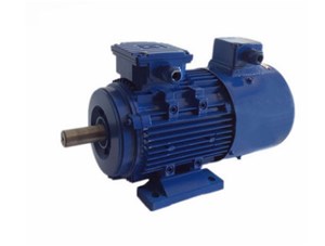 變頻三相異步電動(dòng)機(jī)不同于普通三相異步電動(dòng)機(jī)嗎？